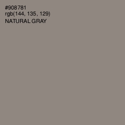 #908781 - Natural Gray Color Image